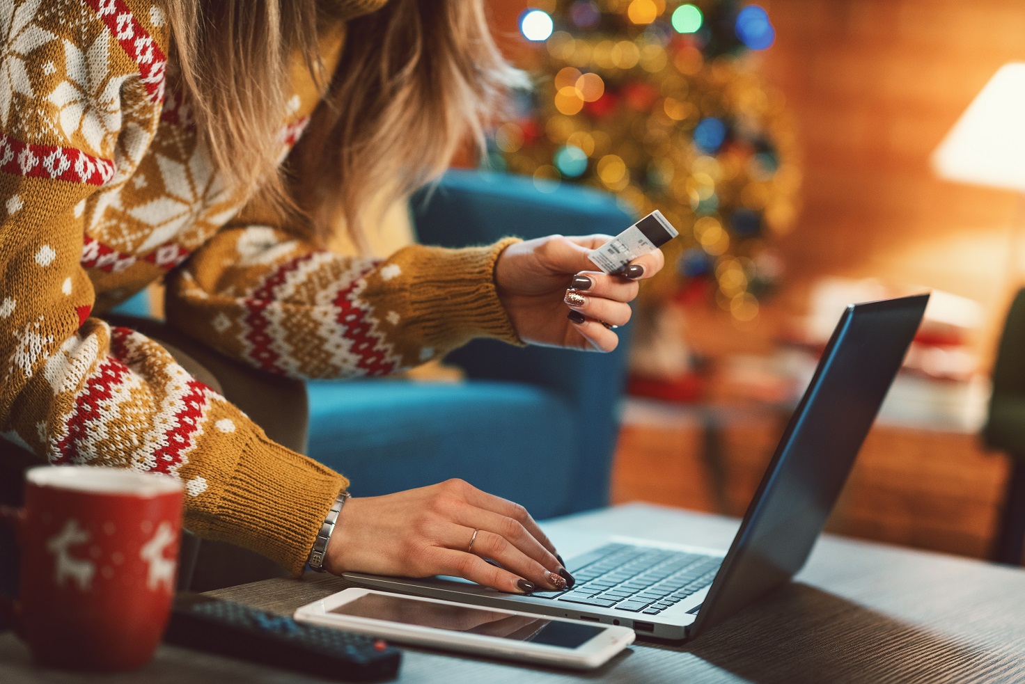 CyberSecurity Tips for Holiday Shopping, Giving and Traveling